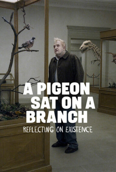 A Pigeon Sat on a Branch